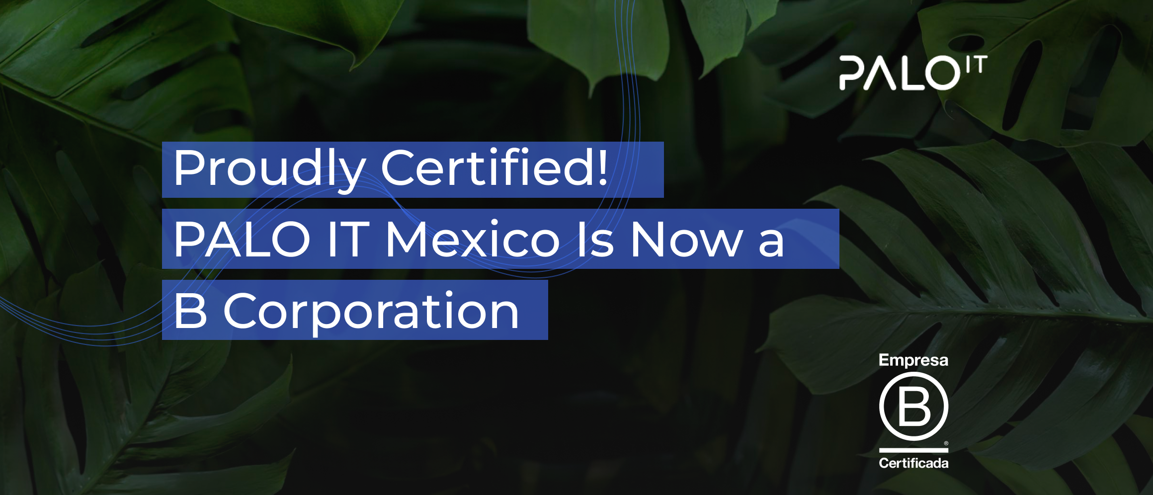 PALO IT Mexico: Technology Consultancy Certified as a B Corporation