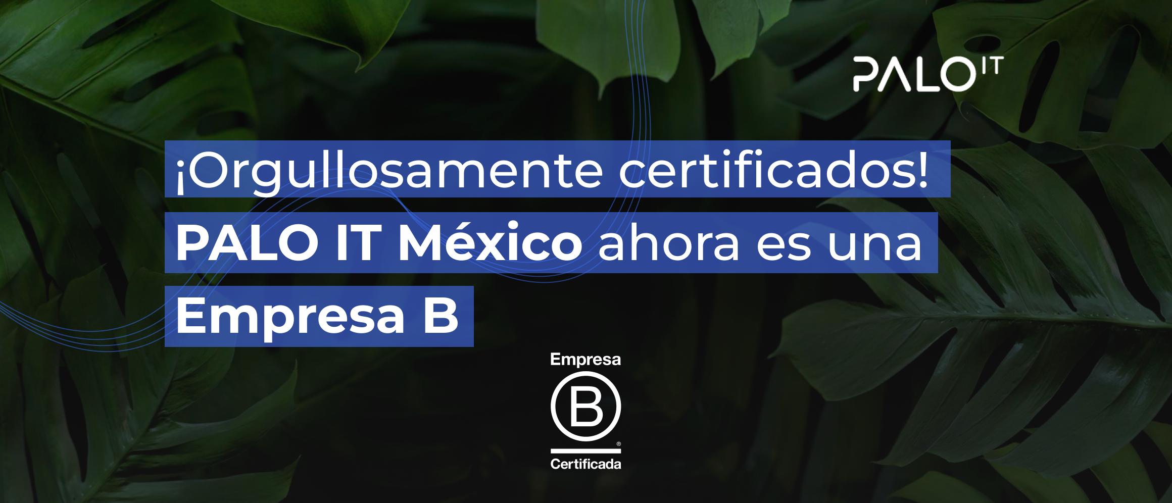 PALO IT México: Consultora de tecnología certificada como Empresa B